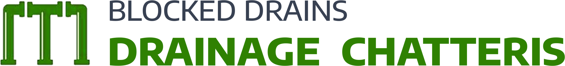 website logo